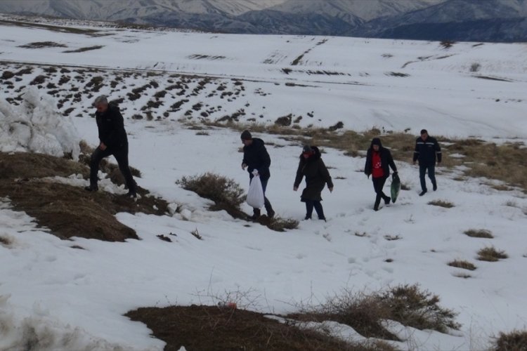 Bitlis'te yaban hayvanları i&ccedil;in doğaya yem bırakıldı