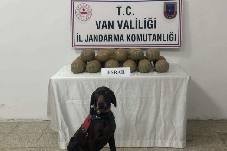 Van'da ka&ccedil;akcılıkla m&uuml;cadele kapsamında 50 kişi yakalandı