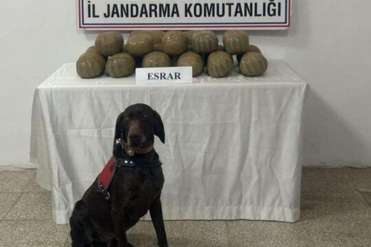 Van'da ge&ccedil;en hafta 38 kilogram esrar ele ge&ccedil;irildi