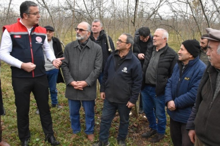 Fındık &uuml;reticileri aldıkları eğitimle kaliteyi artırıyor