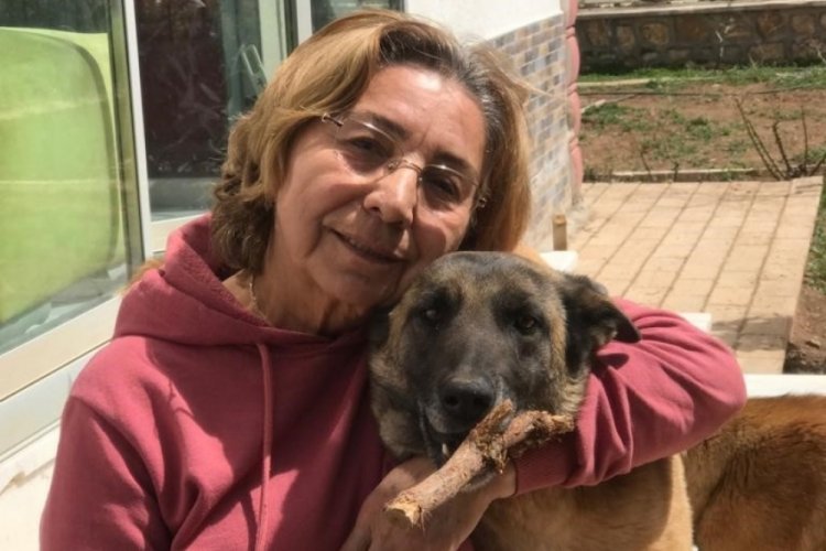 Kaybolan k&ouml;peğini bulana 10 bin lira &ouml;d&uuml;l verecek