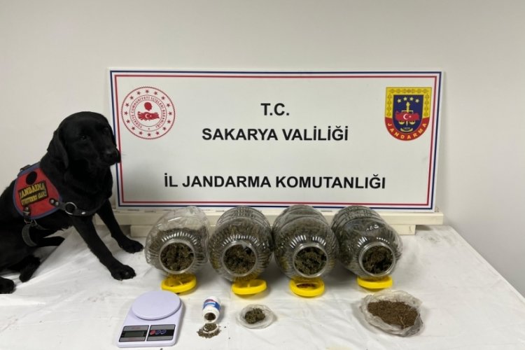 Sakarya'da uyuşturucu operasyonu: 6 kişi yakalandı
