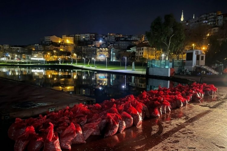 İstanbul'da 6 ton ka&ccedil;ak midye ele ge&ccedil;irildi