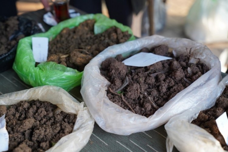 Bursa'da HAGEL'den zeytin &uuml;reticisine &uuml;cretsiz toprak analizi