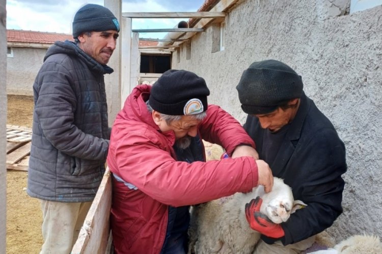 Eskişehir'de aşı ve sağlık taraması