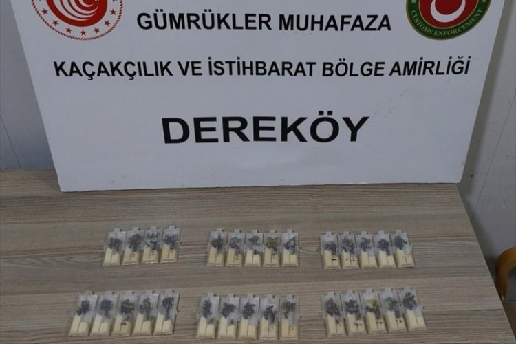 T&uuml;rkiye'ye ka&ccedil;ak yollarla krali&ccedil;e arı getiren sanığa 5 yıla kadar hapsi istemi