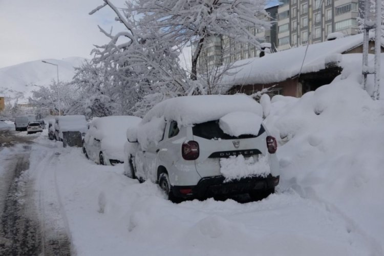 Bitlis'te 266 k&ouml;y yolu kardan ulaşıma kapandı