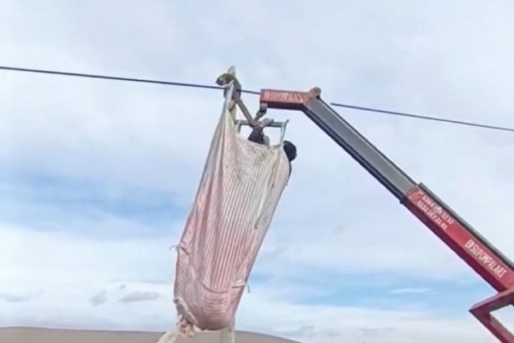Nevşehir'de telefon direğinde 1 g&uuml;n boyunca mahsur kalan kediyi k&ouml;yl&uuml;ler kurtardı