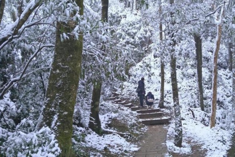 Tayvan'da soğuklar can aldı! 2 g&uuml;nde 145 kişi hayatını kaybetti