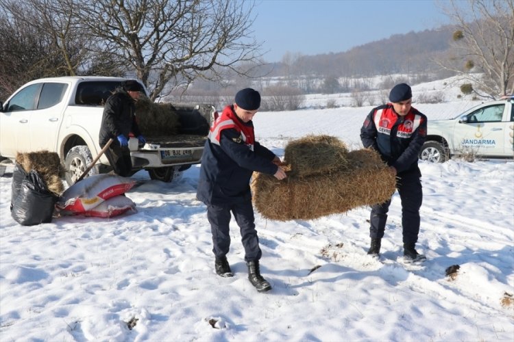 Bolu'da yılkı atları i&ccedil;in karla kaplı yaylalara yem bırakıldı