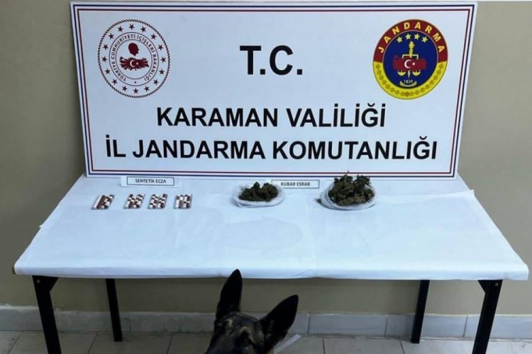 Narkotik k&ouml;peği ile arama yapılan ara&ccedil;ta uyuşturucu ele ge&ccedil;irildi