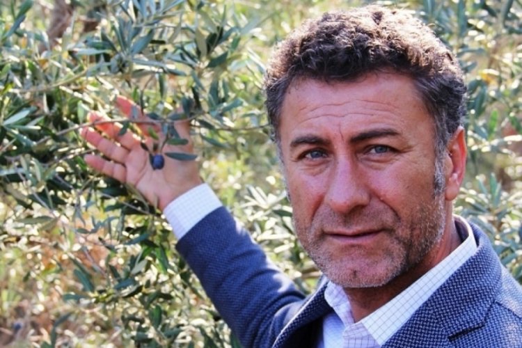 CHP Bursa Milletvekili Orhan Sarıbal, zeytinliklerin kiralanmasında şeffaf bir s&uuml;re&ccedil; istedi