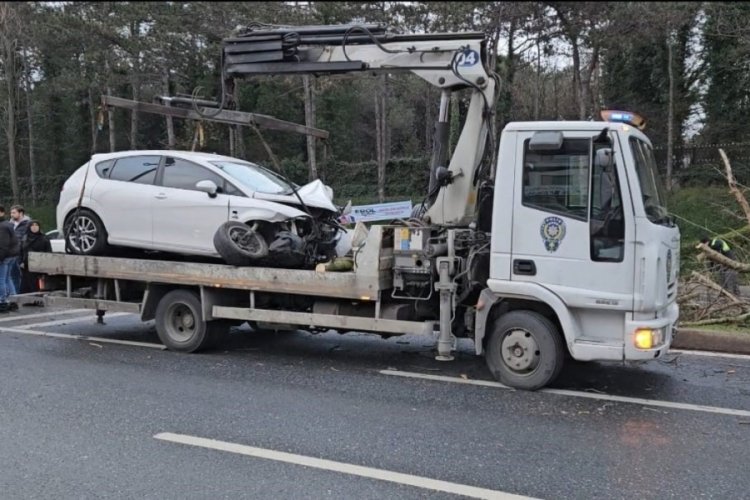 İstanbul'da otomobilin &ccedil;arptığı ağa&ccedil; yerinden s&ouml;k&uuml;ld&uuml;