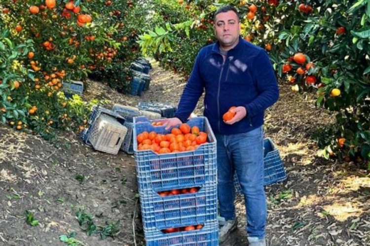 Adana mandalinası d&uuml;nya mutfağını s&uuml;sl&uuml;yor