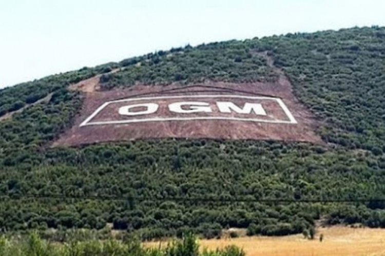 Orman Genel M&uuml;d&uuml;rl&uuml;ğ&uuml;n&uuml;n d&ouml;ner sermayesi 1 milyar liraya &ccedil;ıkarıldı