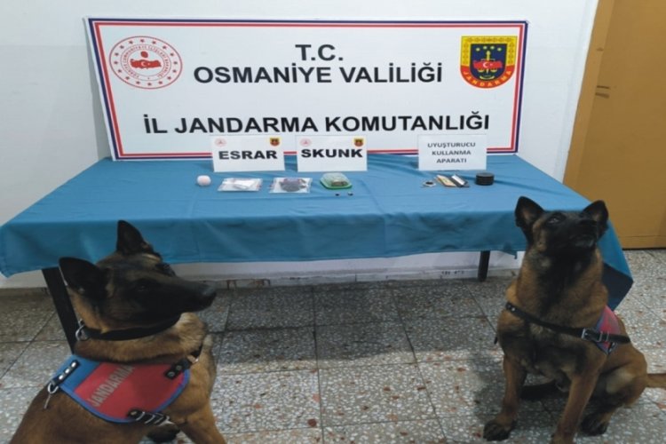 Osmaniye'de uyuşturucu operasyonu: 11 g&ouml;zaltı