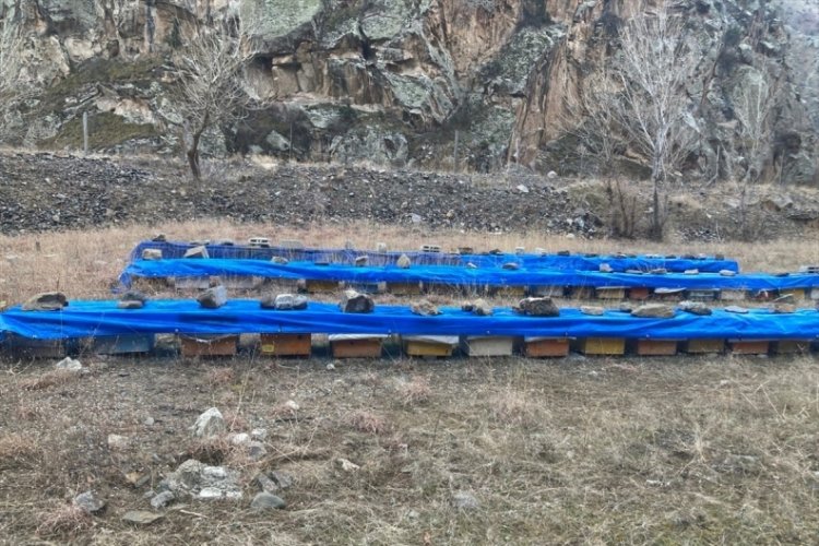 Erzurum'da prolin değeri 1058 &ccedil;ıkan "geven balı" tescil yolunda