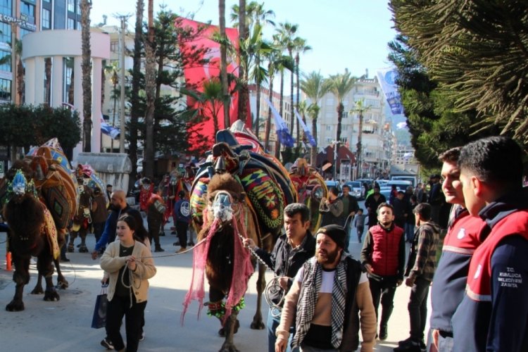 Antalya'da "En S&uuml;sl&uuml; Deve Yarışması" renkli g&ouml;r&uuml;nt&uuml;lere sahne oldu