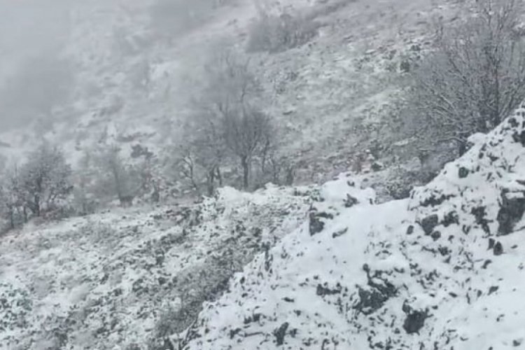 Malatya'da yaban ke&ccedil;ileri, karlı dağlarda g&ouml;r&uuml;nt&uuml;lendi