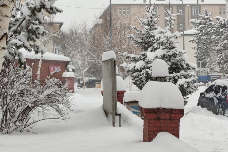 Ardahan'da yoğun kar yağışı: 207 k&ouml;y yolu ulaşıma kapandı