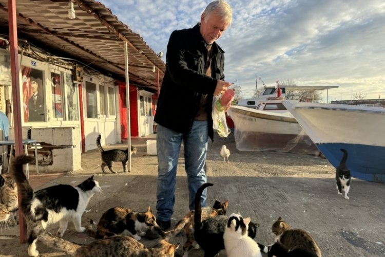 Balık&ccedil;ılığı bıraksa da limanda beslediği kedilerden kopamadı