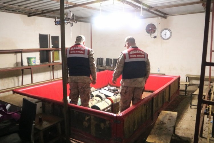 Şanlıurfa'da horoz d&ouml;v&uuml;ş&uuml;ne jandarma baskını