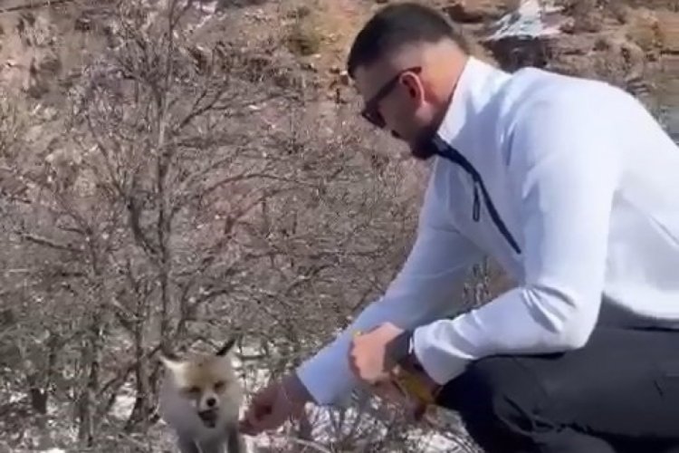 Tunceli'de bir adam tilkiye elleriyle &ccedil;ubuk kraker yedirdi