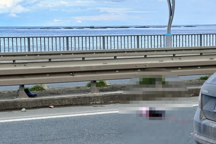 Trabzon'da yolun karşısına ge&ccedil;erken otomobil &ccedil;arpan balık&ccedil;ı, &ouml;ld&uuml;