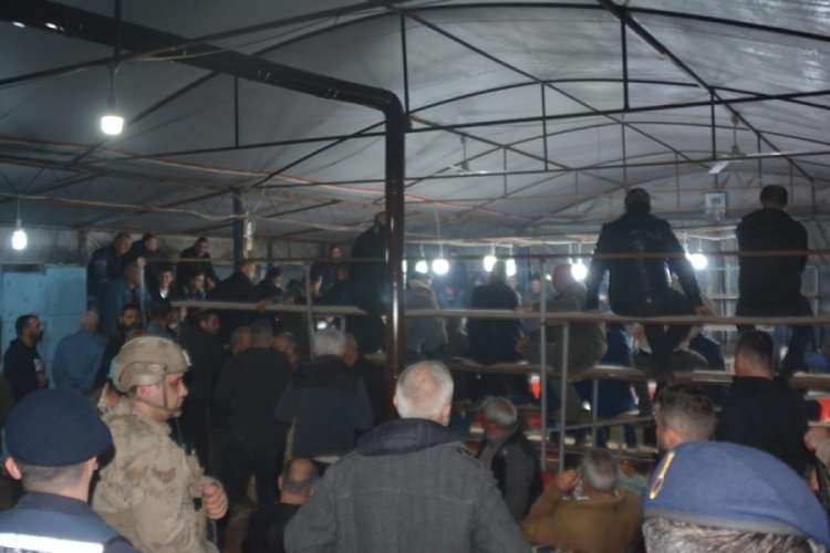İzmir'de horoz d&ouml;v&uuml;ş&uuml; yaptıranlara operasyon!