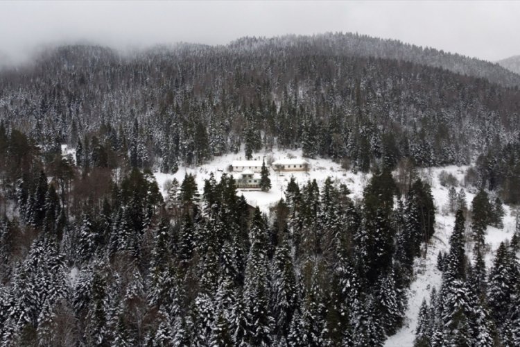 Sinop'ta 1600 rakımlı &Ccedil;angal Dağı'ndaki kar manzarası havadan g&ouml;r&uuml;nt&uuml;lendi