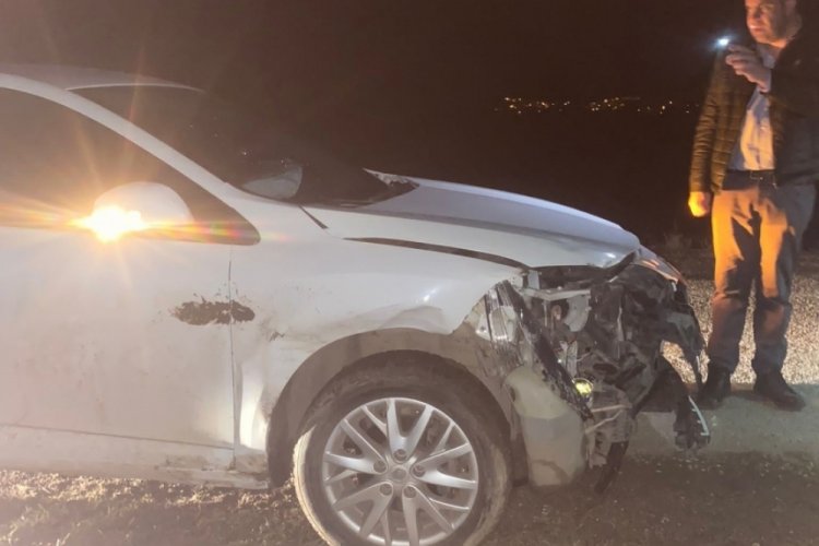 Tokat'ta bir ara&ccedil; domuz s&uuml;r&uuml;s&uuml;ne &ccedil;arptı