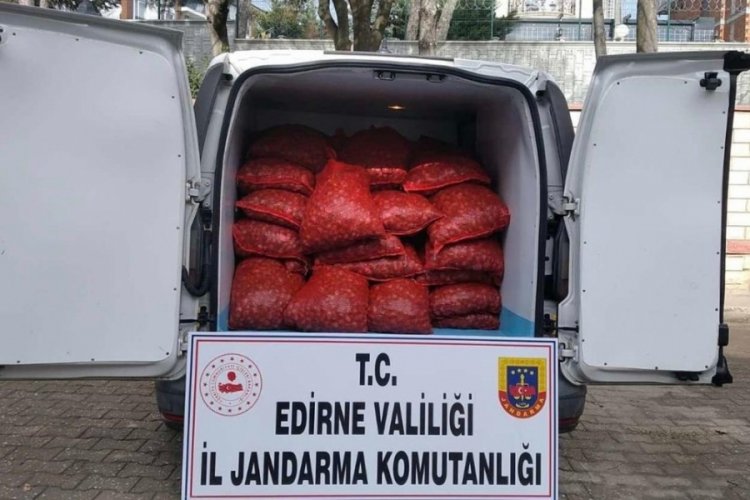 Toplanması ve satışı yasak olan 1 ton kum midyesi ele ge&ccedil;irildi