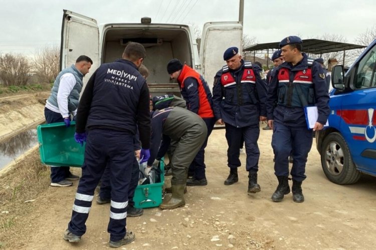 Aydın'da emekli infaz koruma memurunun sulama kanalında cesedi bulundu