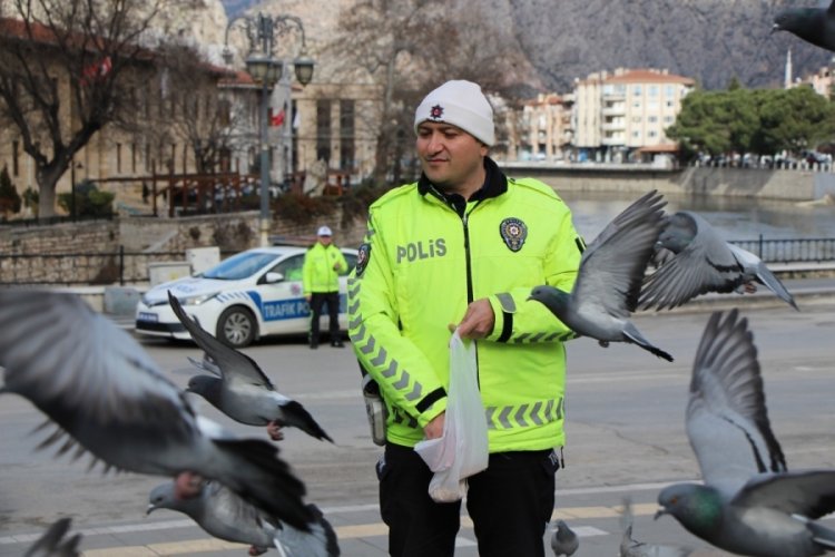Amasya'da trafik polisi g&uuml;vercinleri yemle besledi! Sosyal medyada b&uuml;y&uuml;k ilgi g&ouml;rd&uuml;