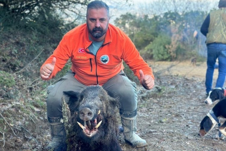 Bursa'da avcılar dev domuzu vurdu