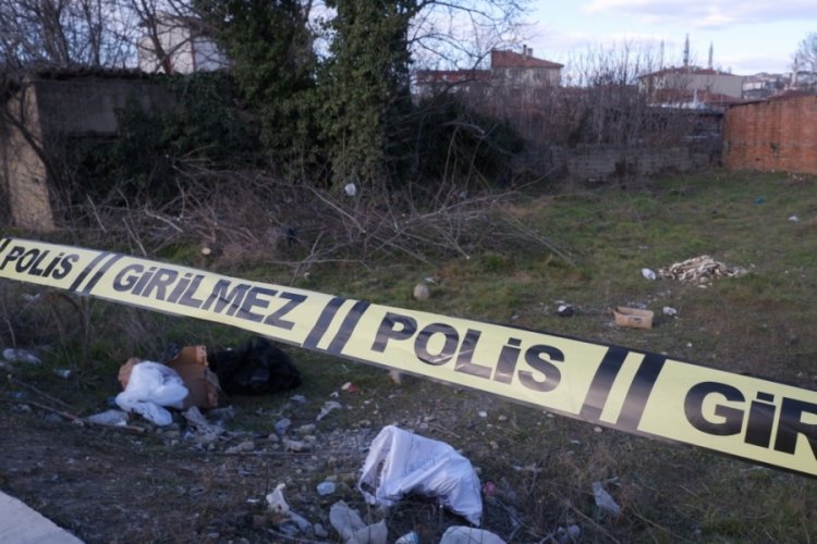 Edirne'de bir adam odun keserken hayatını kaybetti!