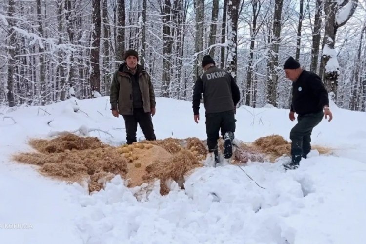 Bursa'da zor kış şartlarında yem bulmakta g&uuml;&ccedil;l&uuml;k &ccedil;eken hayvanlar i&ccedil;in yiyecek bırakıldı