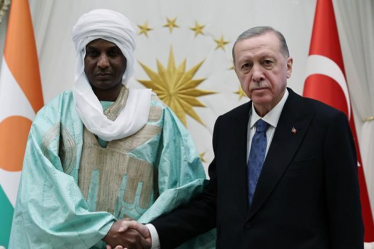 Cumhurbaşkanı Erdoğan, Nijer Başbakanı Zeine'yi ağırladı