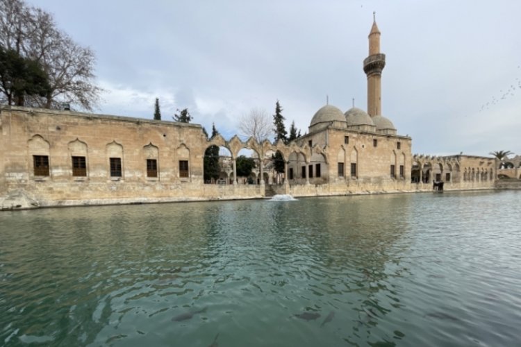 Şanlıurfa'da depremde hasar g&ouml;ren 54 cami yeniden ibadete a&ccedil;ıldı