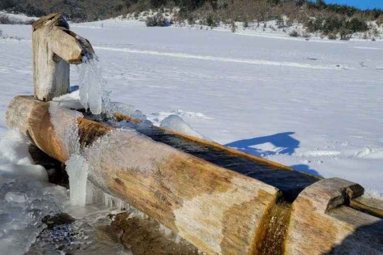 Karab&uuml;k'te ağa&ccedil;lar buz tuttu