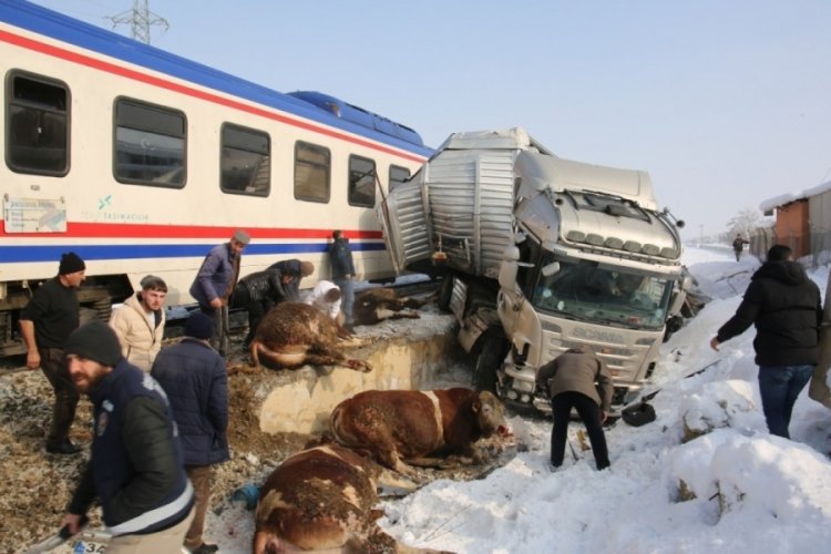 Muş'ta hayvan y&uuml;kl&uuml; tıra tren &ccedil;arptı! 2 &ouml;l&uuml;, 2 yaralı