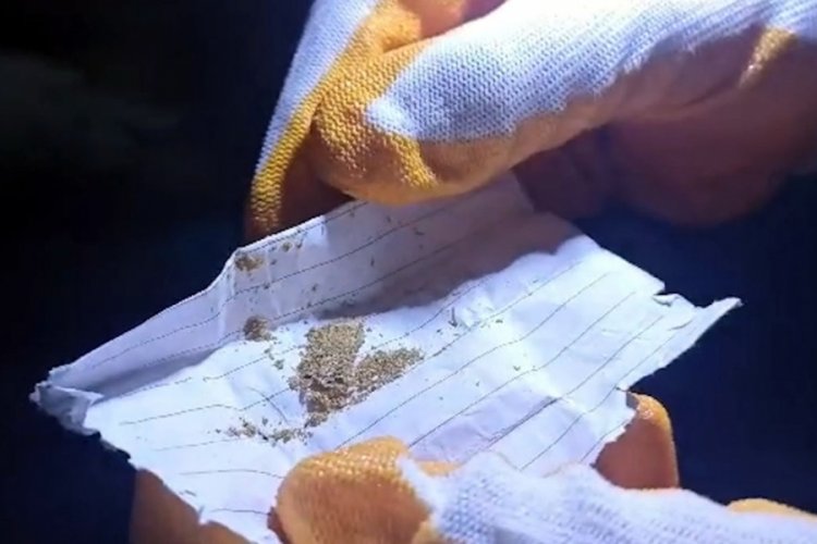 Bitlis'te uyuşturucu operasyonunda 9 tutuklama
