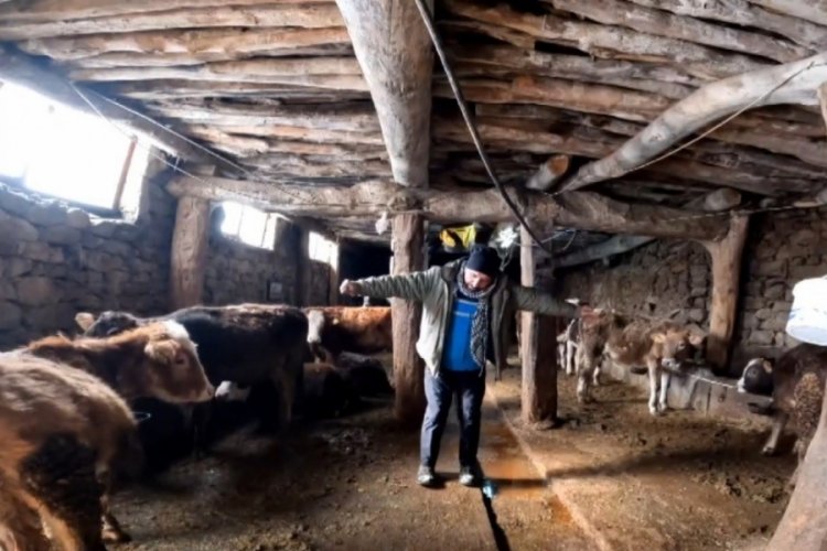 Erzincan'da 'Dilber' şarkısı ile ineklerin s&uuml;t verimini artırdı