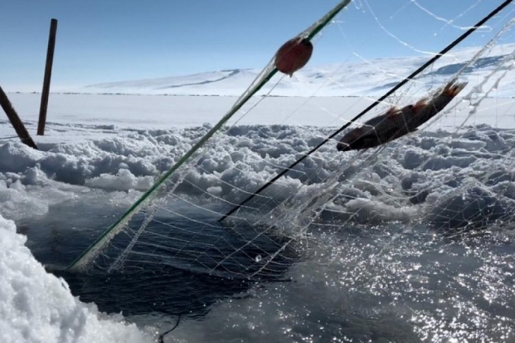 Ardahan &Ccedil;ıldır G&ouml;l&uuml;'nde Eskimo usul&uuml; balık avı