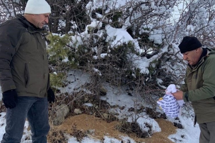 Elazığ'da doğaya 300 kilo yem bırakıldı