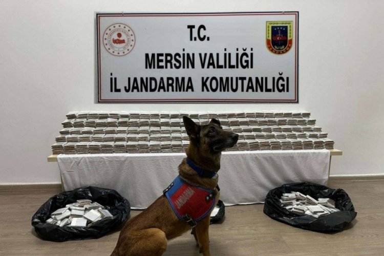 Mersin'de 61 bin 700 adet ka&ccedil;ak makaron ele ge&ccedil;irildi