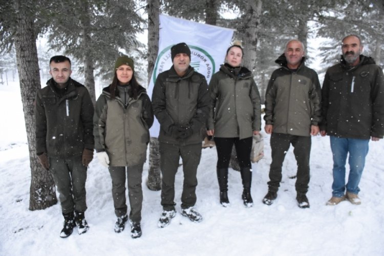 Şırnak'ta yaban hayvanları unutulmadı, doğaya yem bırakıldı