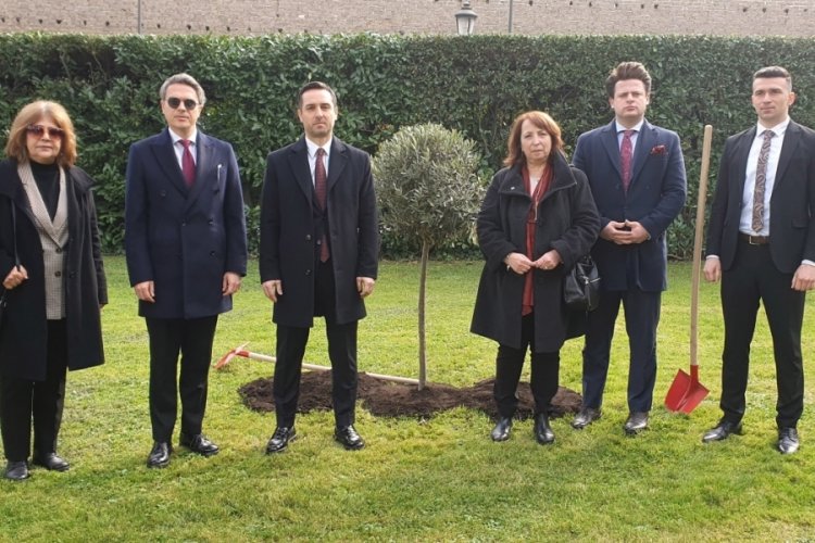 Vatikan'da 6 Şubat depremlerinde &ouml;lenlerin anısına zeytin ağacı dikildi