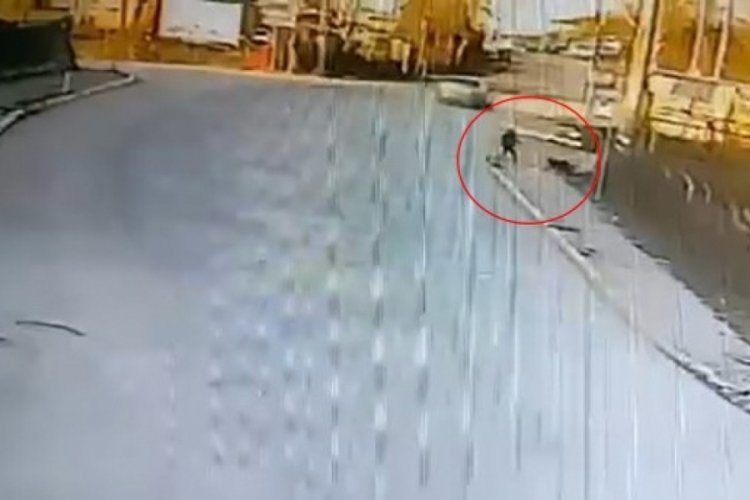 Okula giden &ccedil;ocuğa 2 k&ouml;pek saldırdı