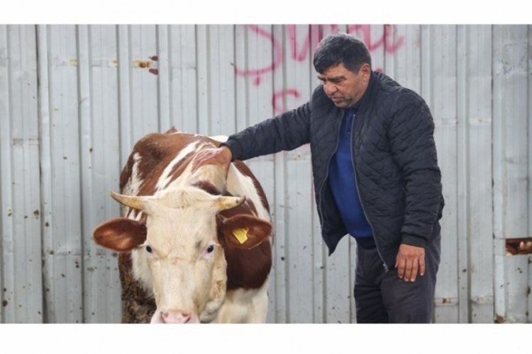 Depremzede besicilerden &ccedil;ağrı: Kamu alım yapsın